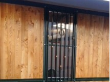 finestra vetrata tipo B